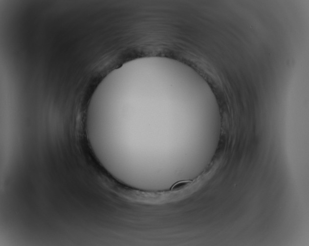 X0000086780037200705111804