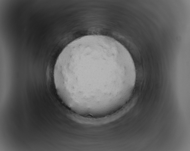 X0000086780038200705111804