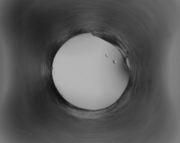 X0000086780040200705111804