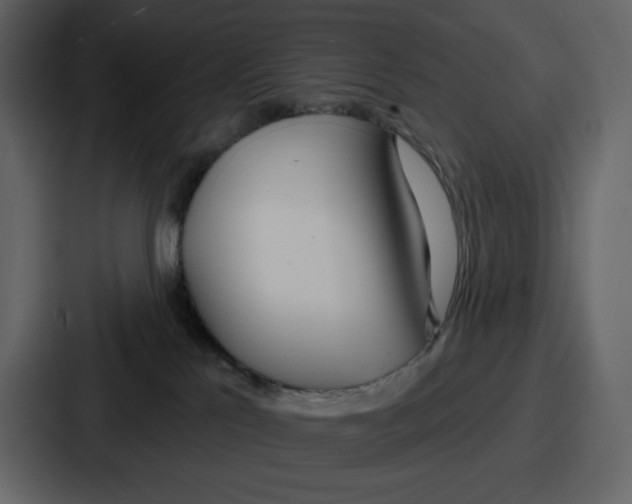 X0000086780041200705111804