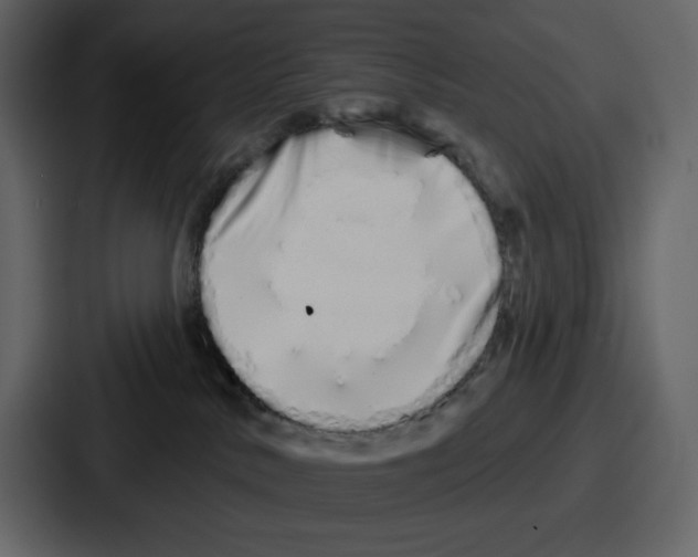 X0000086780042200705111804