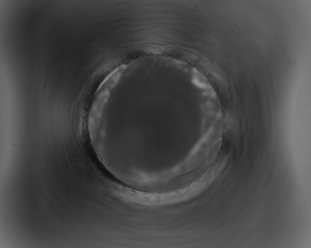 X0000086780043200705111804