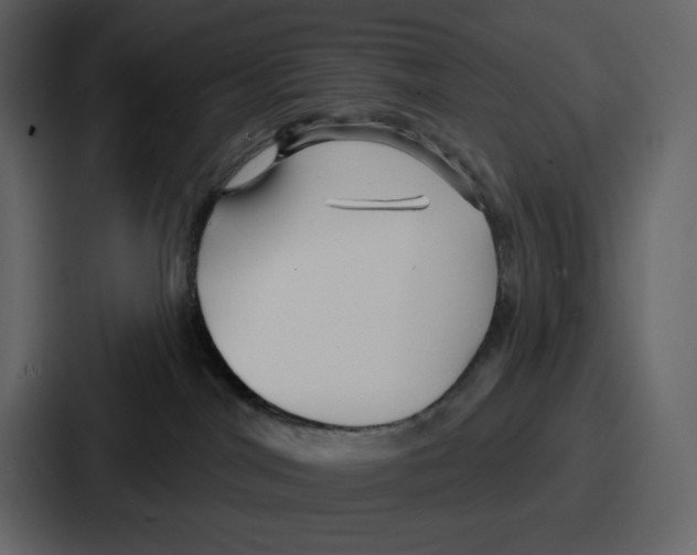 X0000086780044200705111804