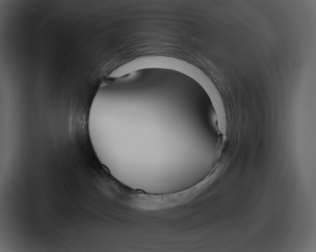 X0000086780045200705111803