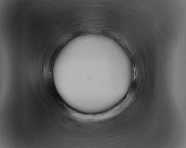 X0000086780046200705111803