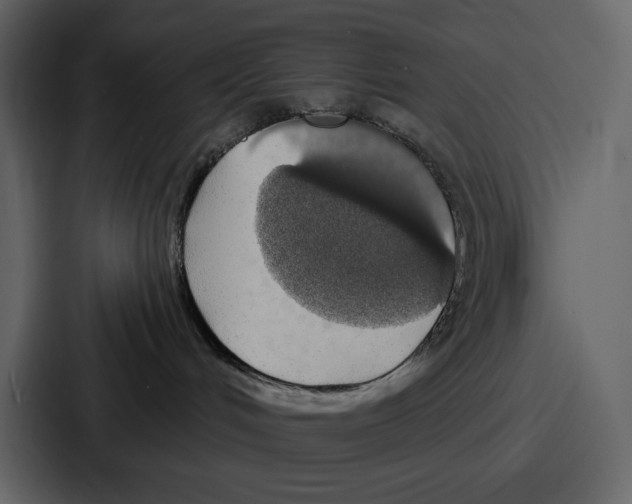 X0000086780048200705111803