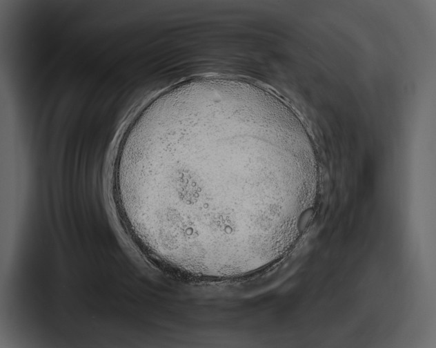 X0000086780049200705111803