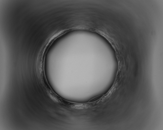 X0000086780050200705111803