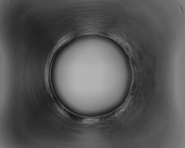 X0000086780051200705111803