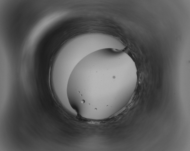 X0000086780052200705111803