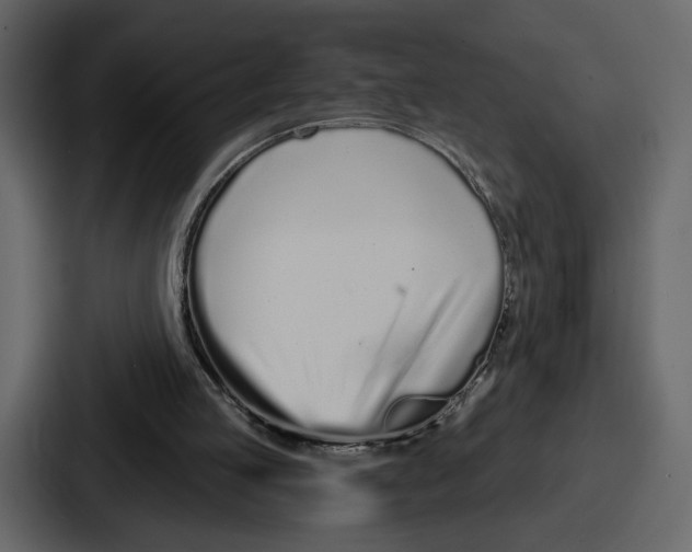 X0000086780053200705111803