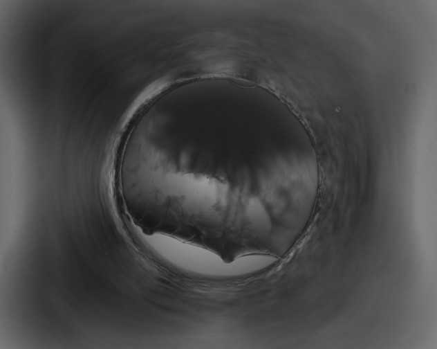 X0000086780054200705111803