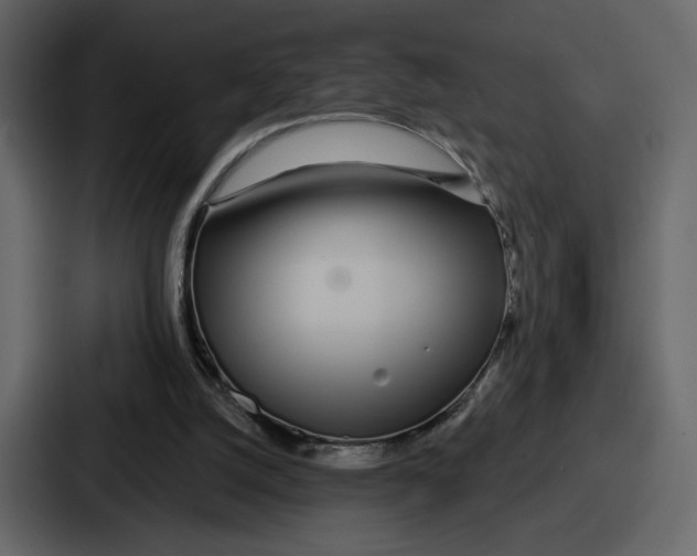 X0000086780056200705111803