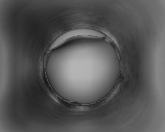 X0000086780057200705111803