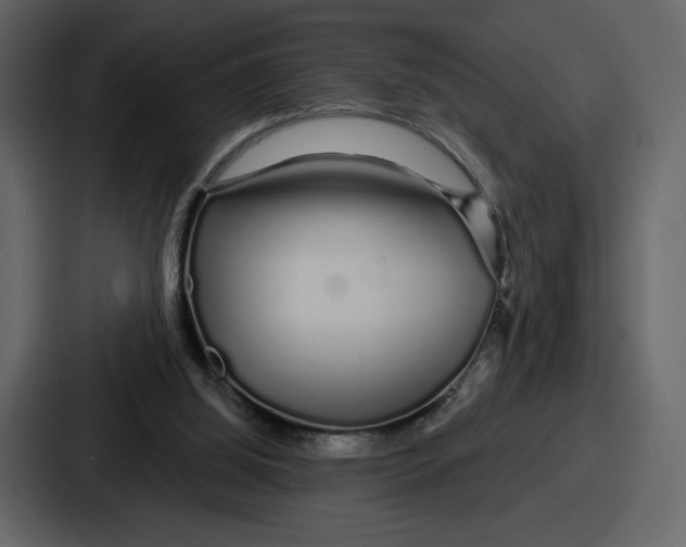 X0000086780060200705111803