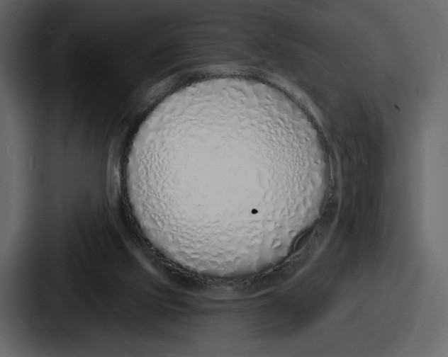 X0000086780061200705111803