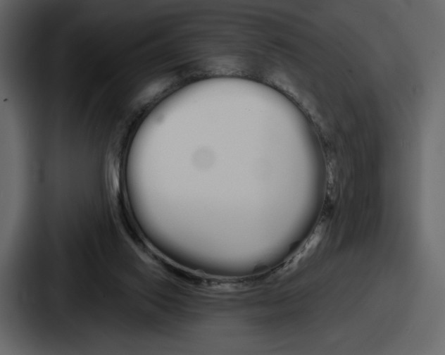 X0000086780062200705111803