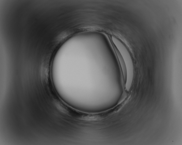 X0000086780063200705111803