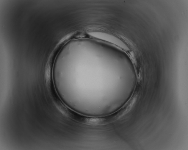 X0000086780064200705111803