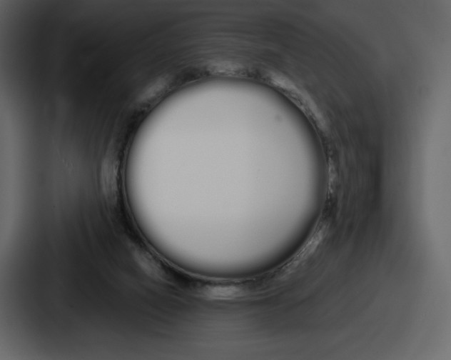 X0000086780066200705111803