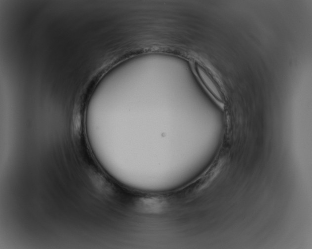 X0000086780067200705111803