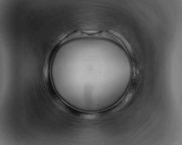 X0000086780068200705111803