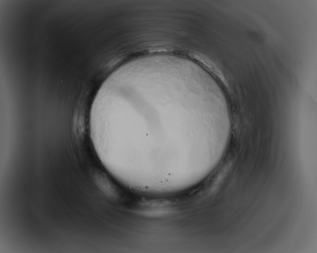 X0000086780069200705111803