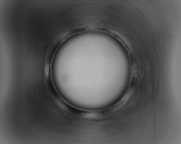 X0000086780070200705111803