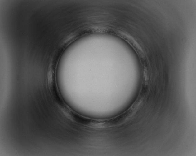 X0000086780071200705111803