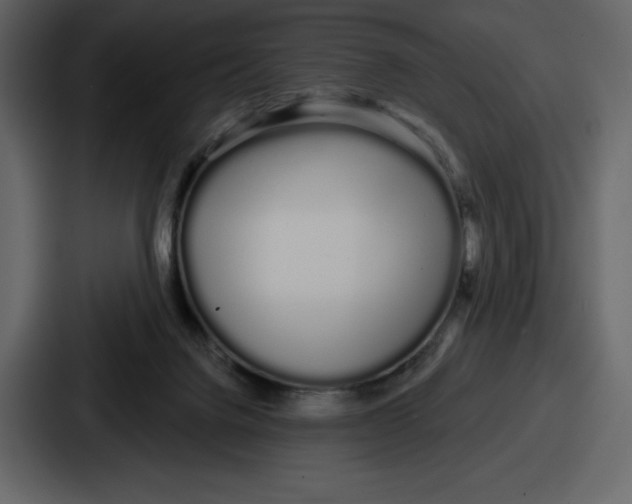 X0000086780072200705111803