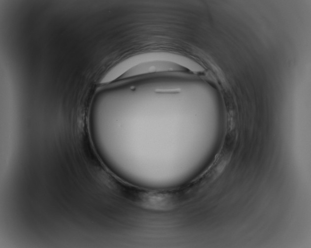 X0000086780073200705111803