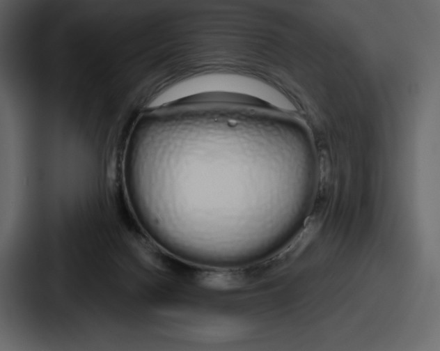 X0000086780074200705111803