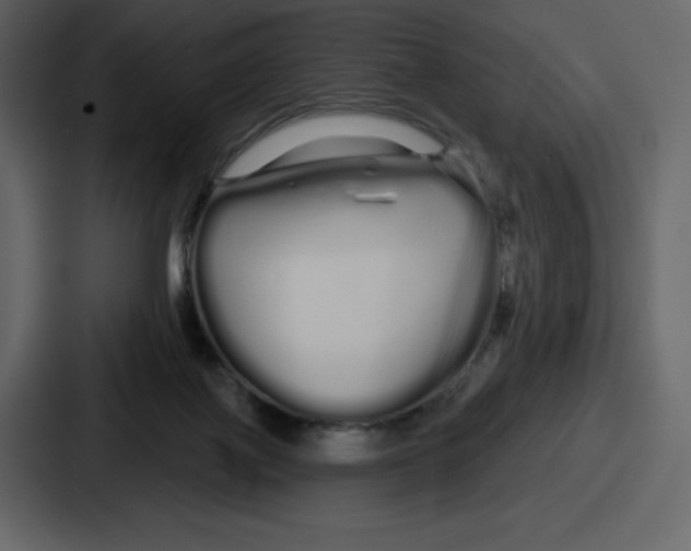 X0000086780075200705111803