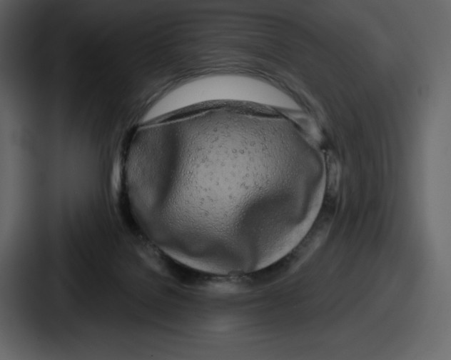 X0000086780076200705111803