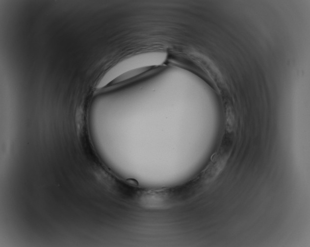 X0000086780077200705111803