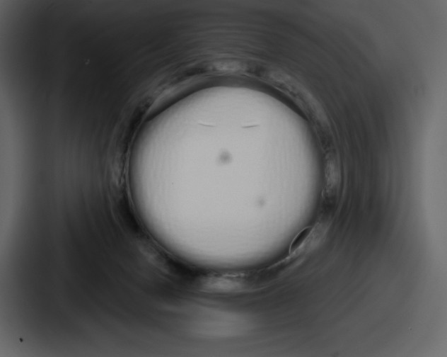 X0000086780078200705111803