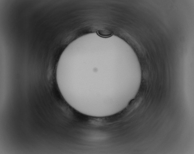 X0000086780079200705111803