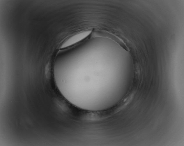 X0000086780080200705111803