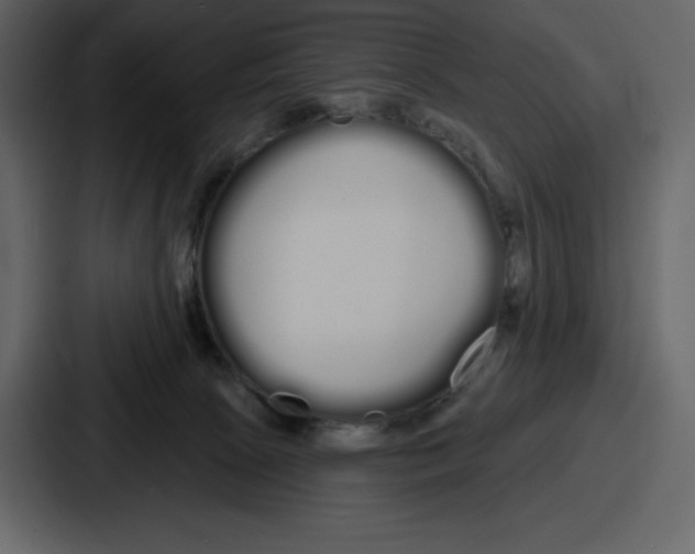 X0000086780081200705111803