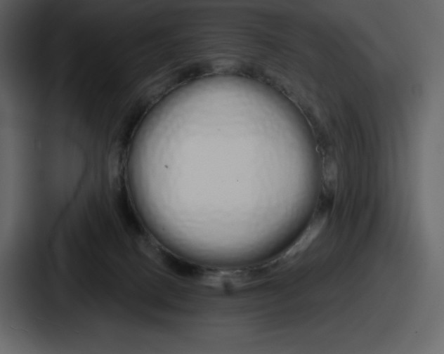 X0000086780082200705111803