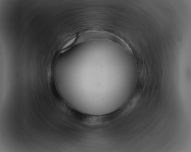 X0000086780084200705111803