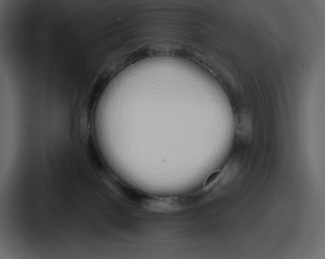 X0000086780086200705111803