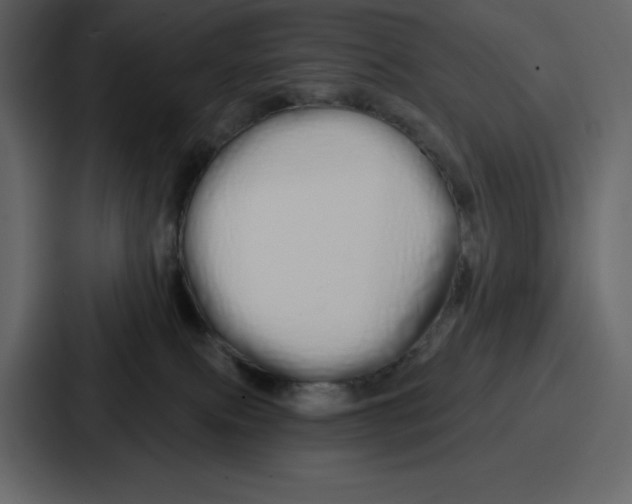 X0000086780087200705111803