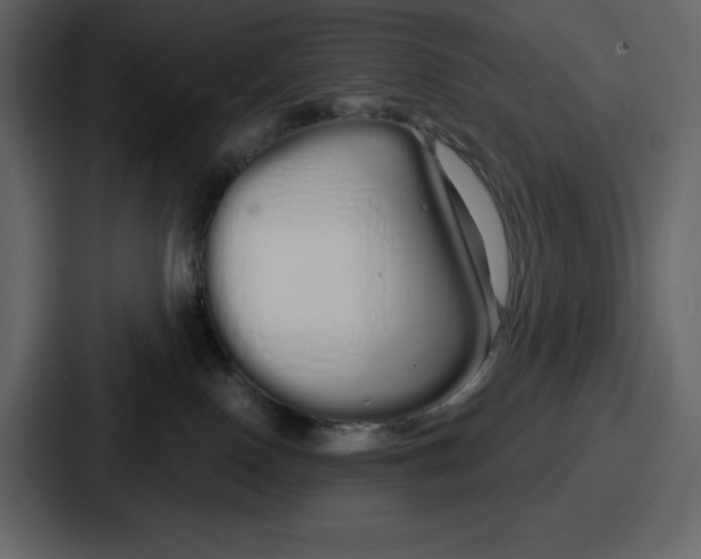 X0000086780090200705111803