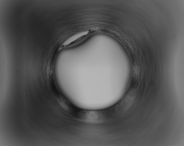 X0000086780091200705111803