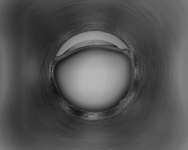 X0000086780093200705111803