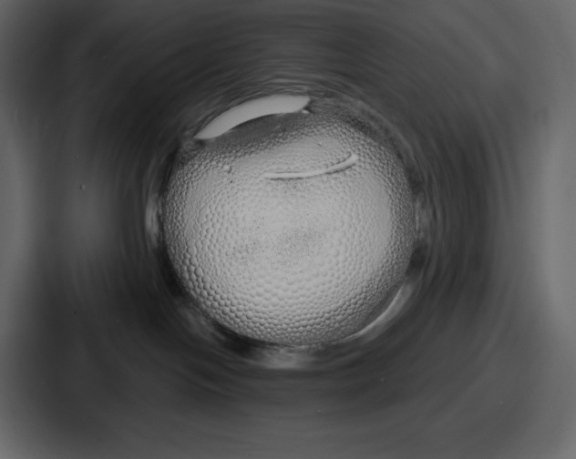 X0000086780094200705111803