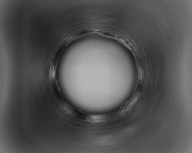 X0000086780095200705111803