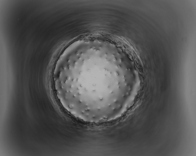 X0000086780097200705111803