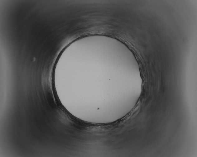 X0000086780100200705111803